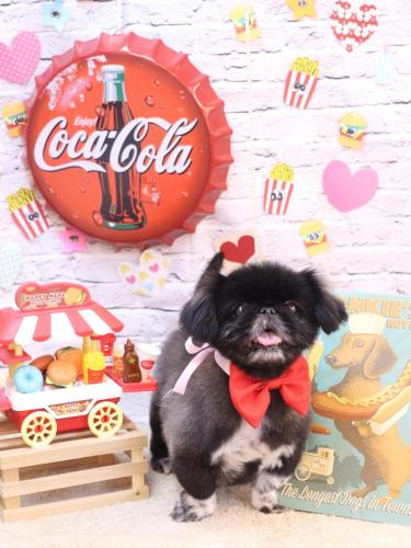 20230909つきみちゃん